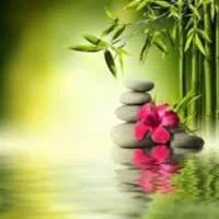 Mary's Chinese Massage Logo